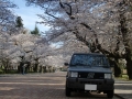 086_tawashipanda.jpg