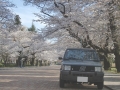 086_tawashipanda.jpg
