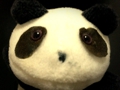 083-yon.jpg