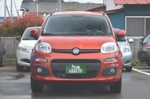 panda3-3.jpg