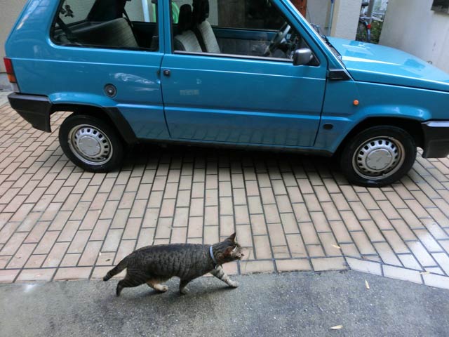 ちびび