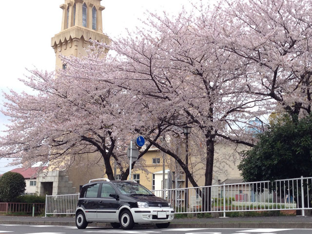モノクロぱんだ