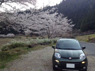 sanshiki_doujun