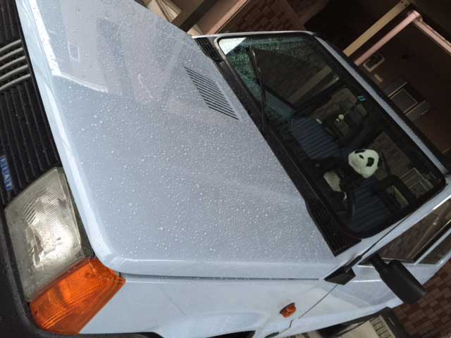 パングー