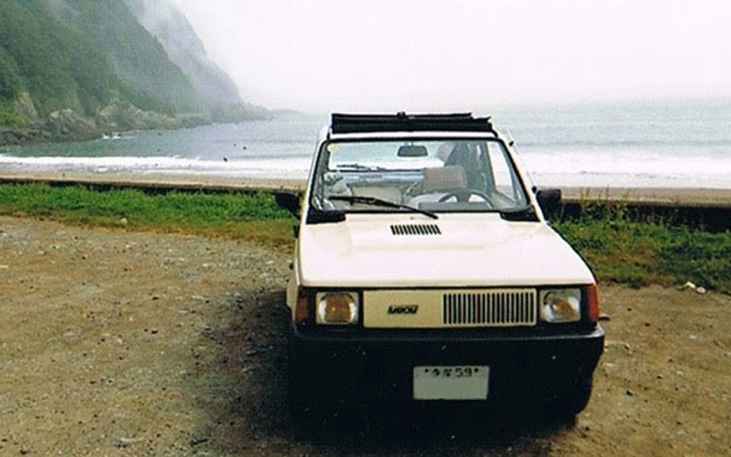 Bohemian Panda ZiZi