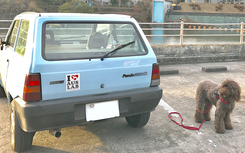 ひな山