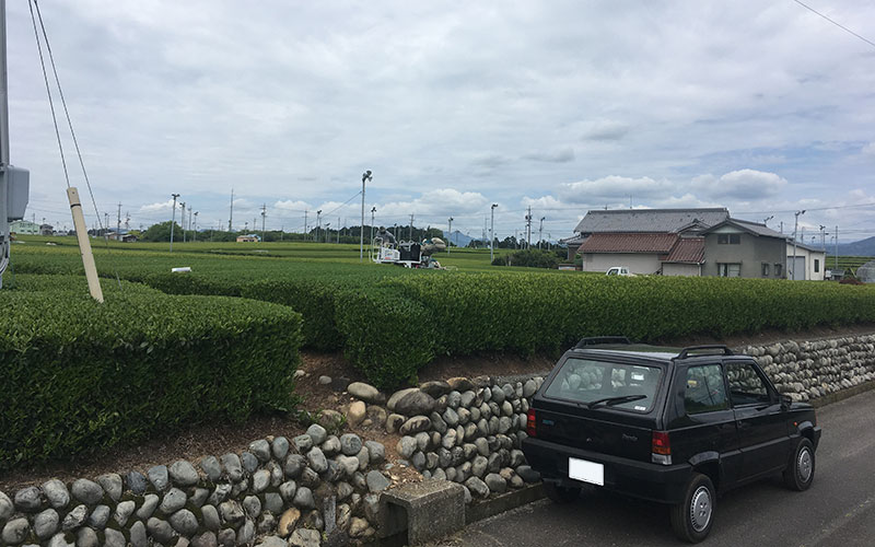 たけ