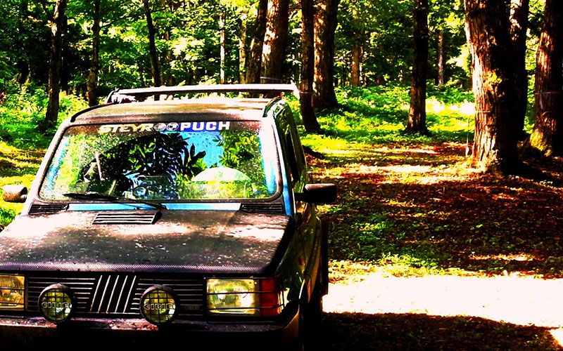 MP