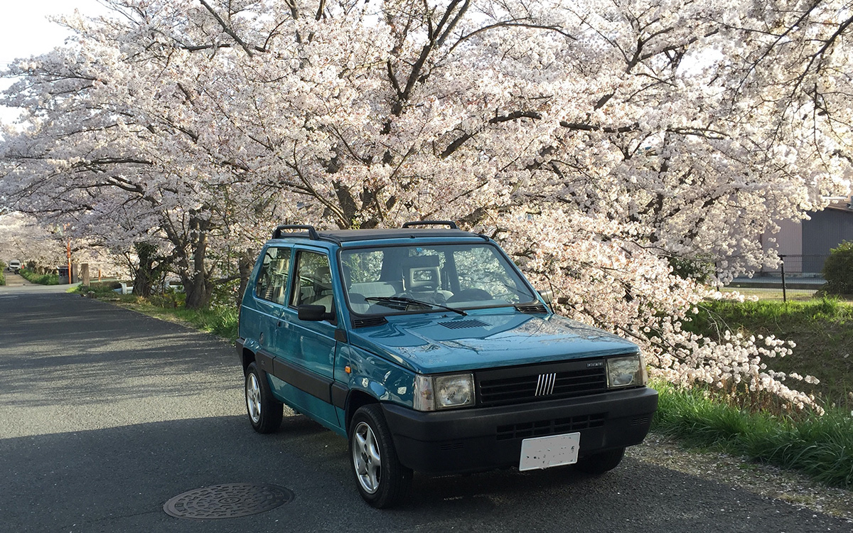 やっぱりPANDA