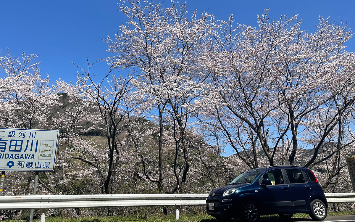 なおパンダ